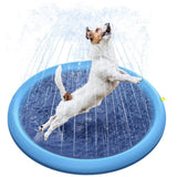 Piscina de verão para Animais