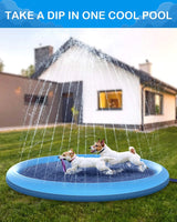 Piscina de verão para Animais