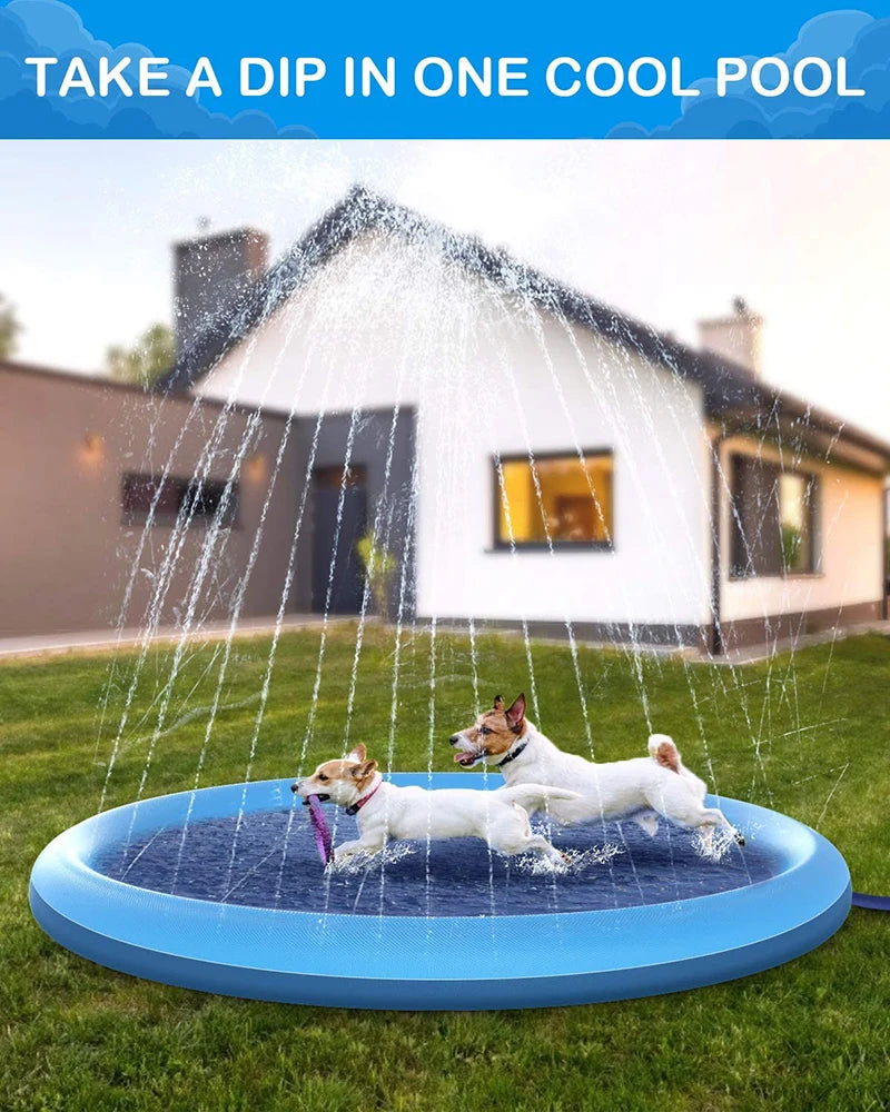 Piscina de verão para Animais