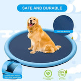 Piscina de verão para Animais