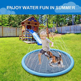 Piscina de verão para Animais