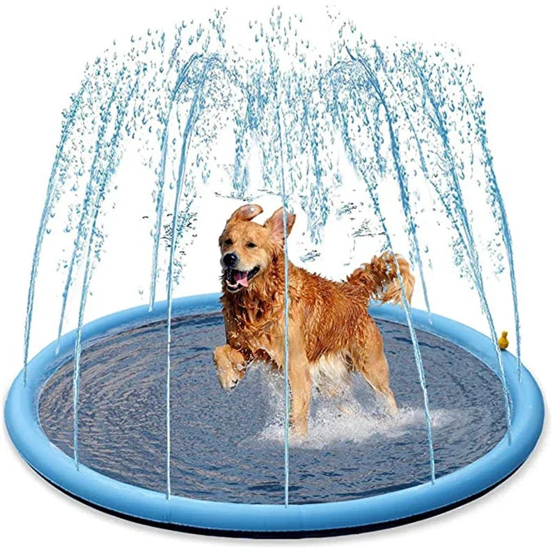 Piscina de verão para Animais