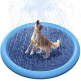 Piscina de verão para Animais
