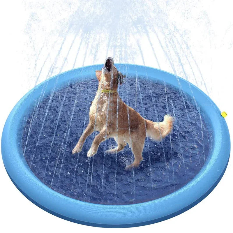 Piscina de verão para Animais